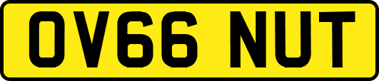 OV66NUT