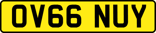 OV66NUY