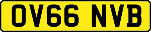 OV66NVB