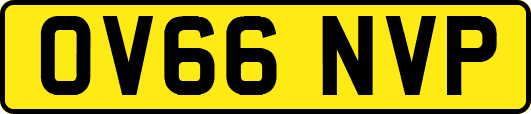 OV66NVP