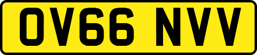 OV66NVV