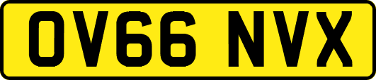 OV66NVX