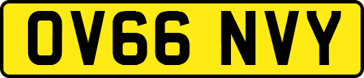 OV66NVY