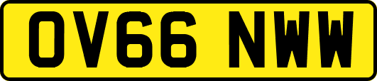 OV66NWW