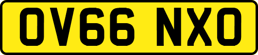 OV66NXO