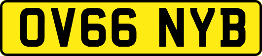 OV66NYB