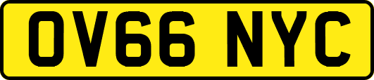 OV66NYC