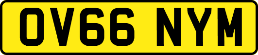 OV66NYM