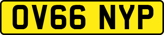 OV66NYP