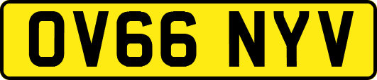 OV66NYV