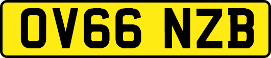 OV66NZB