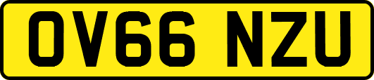 OV66NZU
