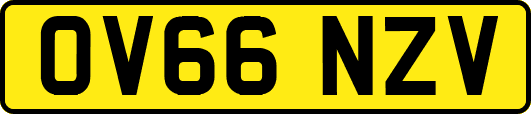 OV66NZV