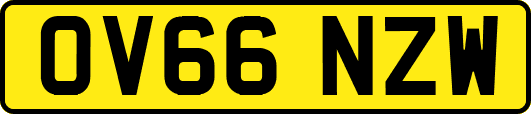 OV66NZW