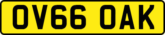 OV66OAK