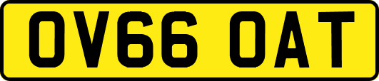 OV66OAT