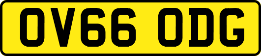OV66ODG