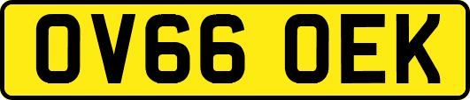 OV66OEK