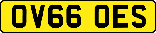 OV66OES