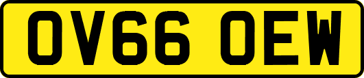 OV66OEW