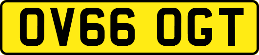 OV66OGT