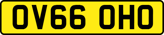 OV66OHO