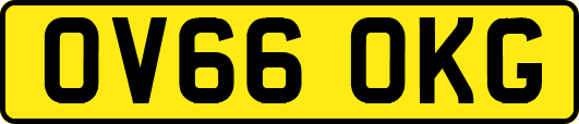 OV66OKG