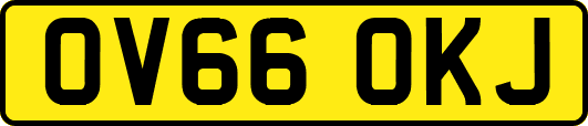 OV66OKJ
