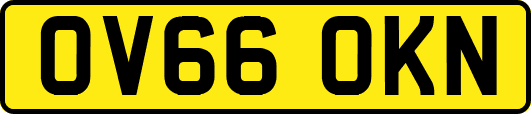 OV66OKN