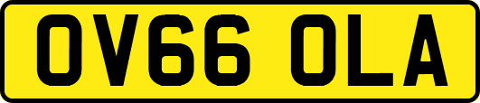 OV66OLA