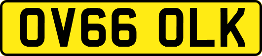 OV66OLK