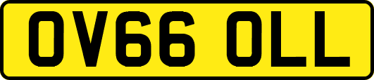 OV66OLL