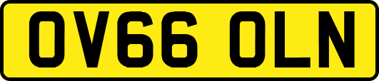 OV66OLN