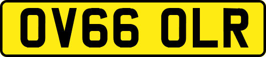 OV66OLR