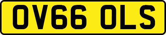 OV66OLS