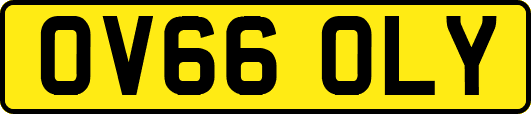 OV66OLY