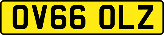 OV66OLZ