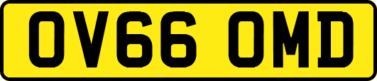 OV66OMD