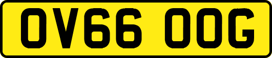 OV66OOG
