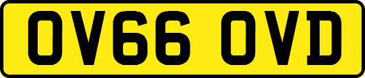 OV66OVD