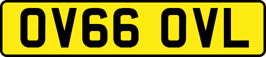 OV66OVL