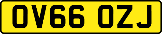 OV66OZJ