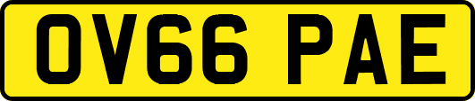 OV66PAE