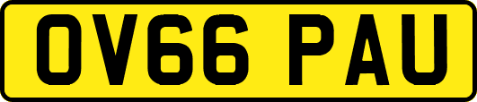 OV66PAU