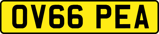 OV66PEA