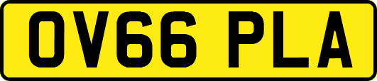 OV66PLA