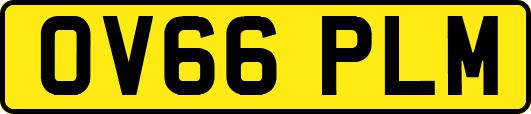 OV66PLM