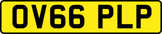 OV66PLP