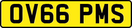 OV66PMS
