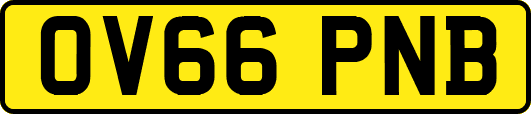 OV66PNB